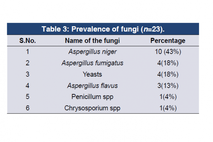 Aspergillus niger, Aspergillus fumigatus, Yeasts, Aspergillus