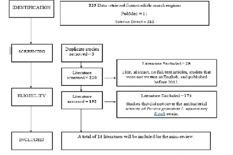 Schematic Diagram for Study Selection.