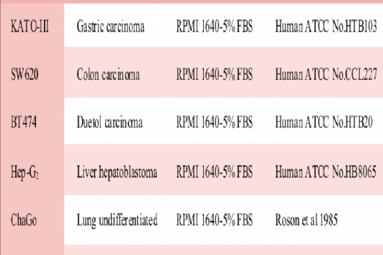 Tumor and cell lines 