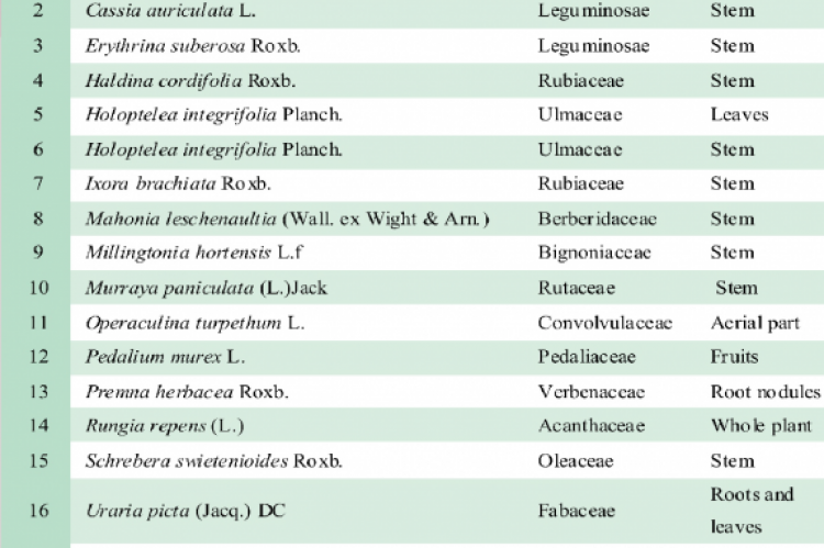 List of plants studied along with the family name and parts used