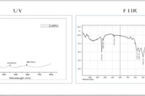 UV-visible spectra and FTIR spectrum of green synthesised CuNPs with H. indicus