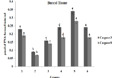 Status of Caspase 3 and 9 activities in the buccal mucosa of untreated control and experimental hamsters