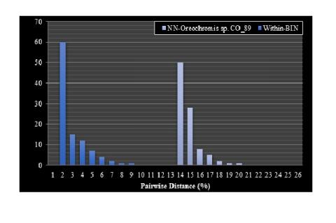 Distance distribution among O. niloticus and BIN of BOLD Systems