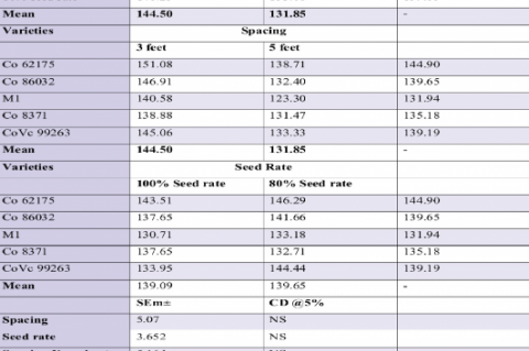 Cane yield (t/ha) with sugarcane varieties as influenced by wide row spacing 