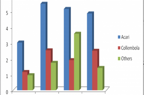 Variation in over-all percentage abundances of major groups of soil microarthropods at S1.