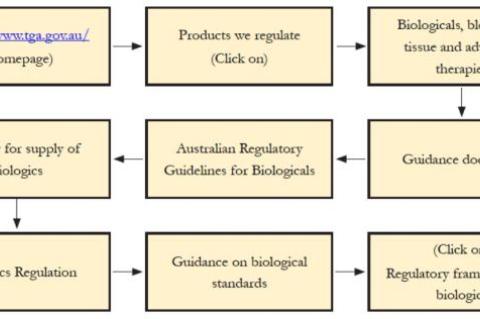 Navigation Pathway of Biologics