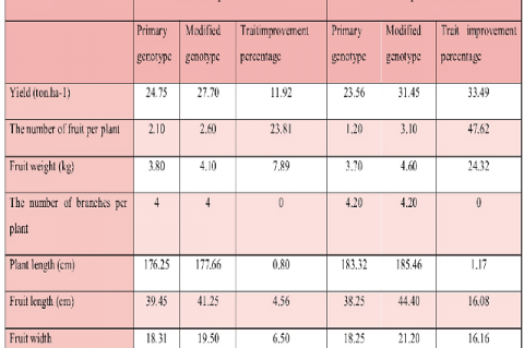 Agronomic traits of Khatooni genotype of melon after one and two period selection